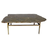 Fossil stone Coffee Table